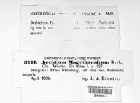 Image Associated With the Occurence